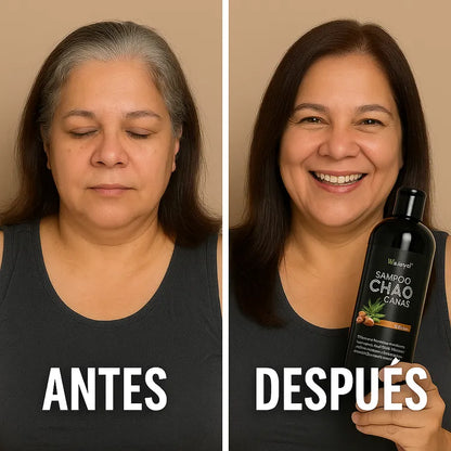 [Compra 1, Lleva 2] Champú Unissex 3x1 AntiCanas - Luce 10 Años Más Joven