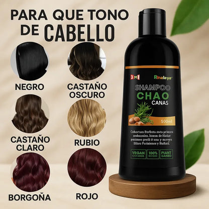 [Compra 1, Lleva 2] Champú Unissex 3x1 AntiCanas - Luce 10 Años Más Joven